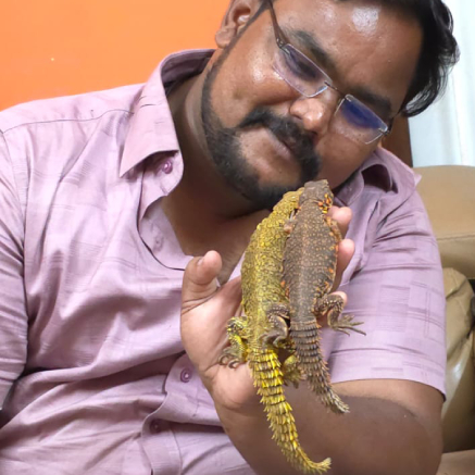 Pet Image